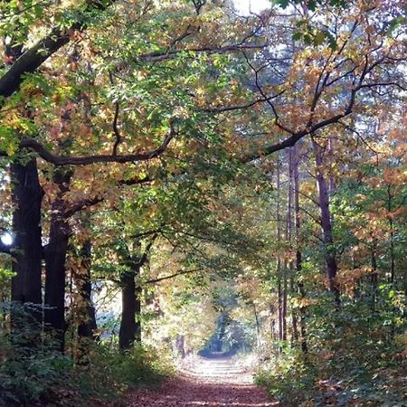 Vakantiehuis Op Rustig Bospark Veluwe Voorthuizen Extérieur photo