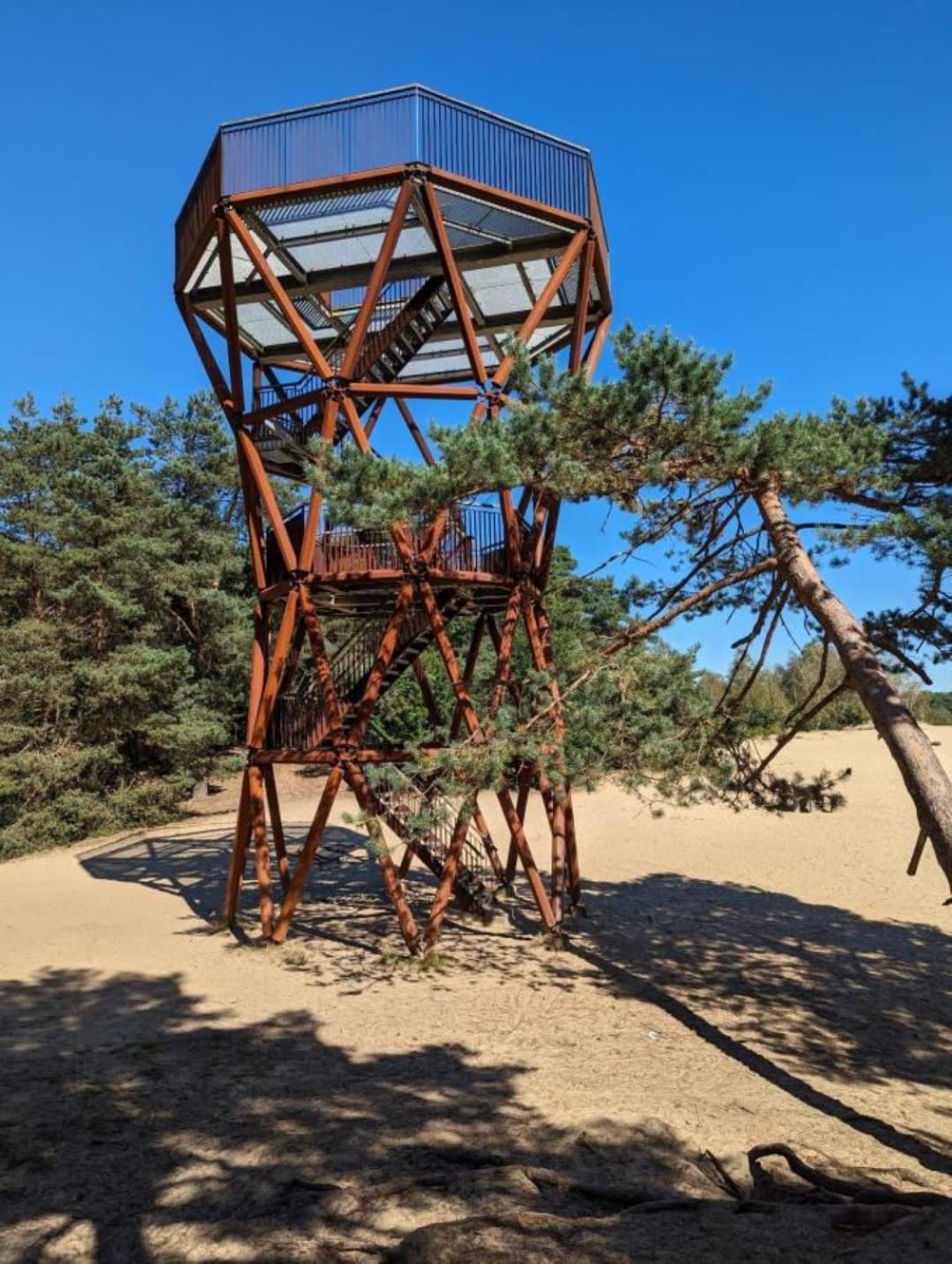 Vakantiehuis Op Rustig Bospark Veluwe Voorthuizen Extérieur photo