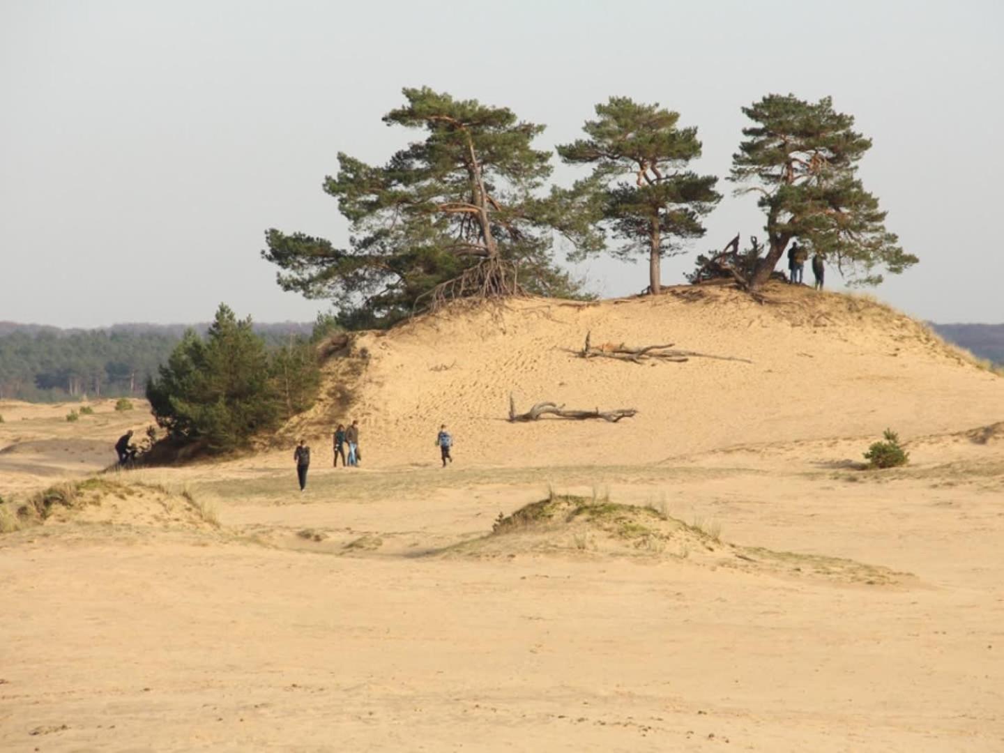 Vakantiehuis Op Rustig Bospark Veluwe Voorthuizen Extérieur photo