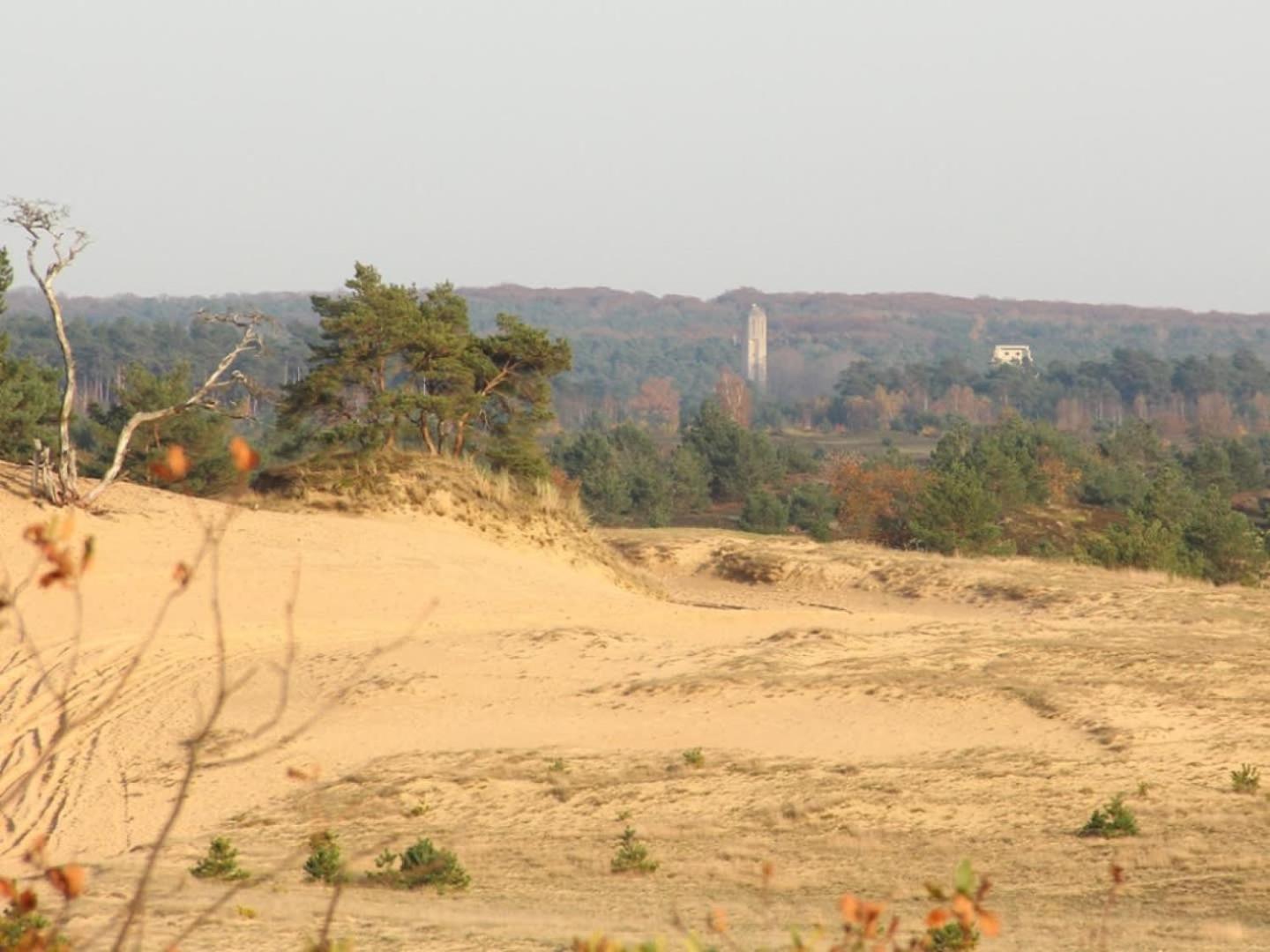 Vakantiehuis Op Rustig Bospark Veluwe Voorthuizen Extérieur photo