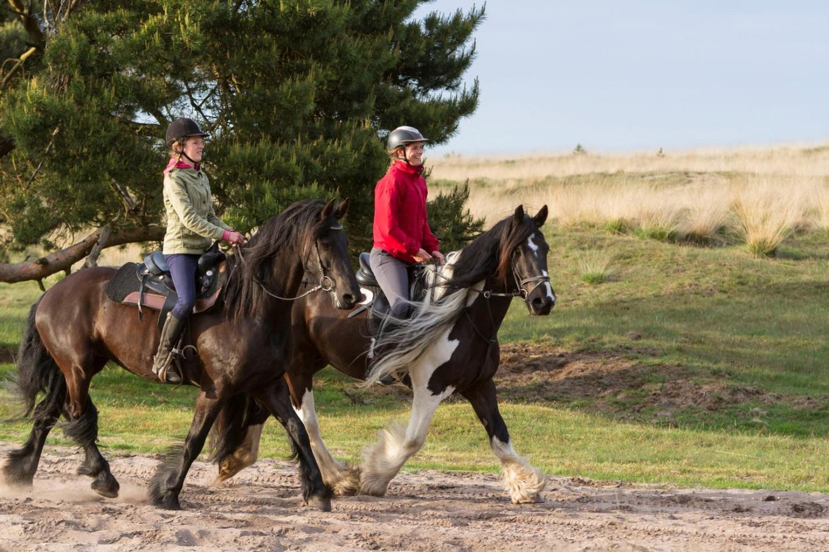 Vakantiehuis Op Rustig Bospark Veluwe Voorthuizen Extérieur photo