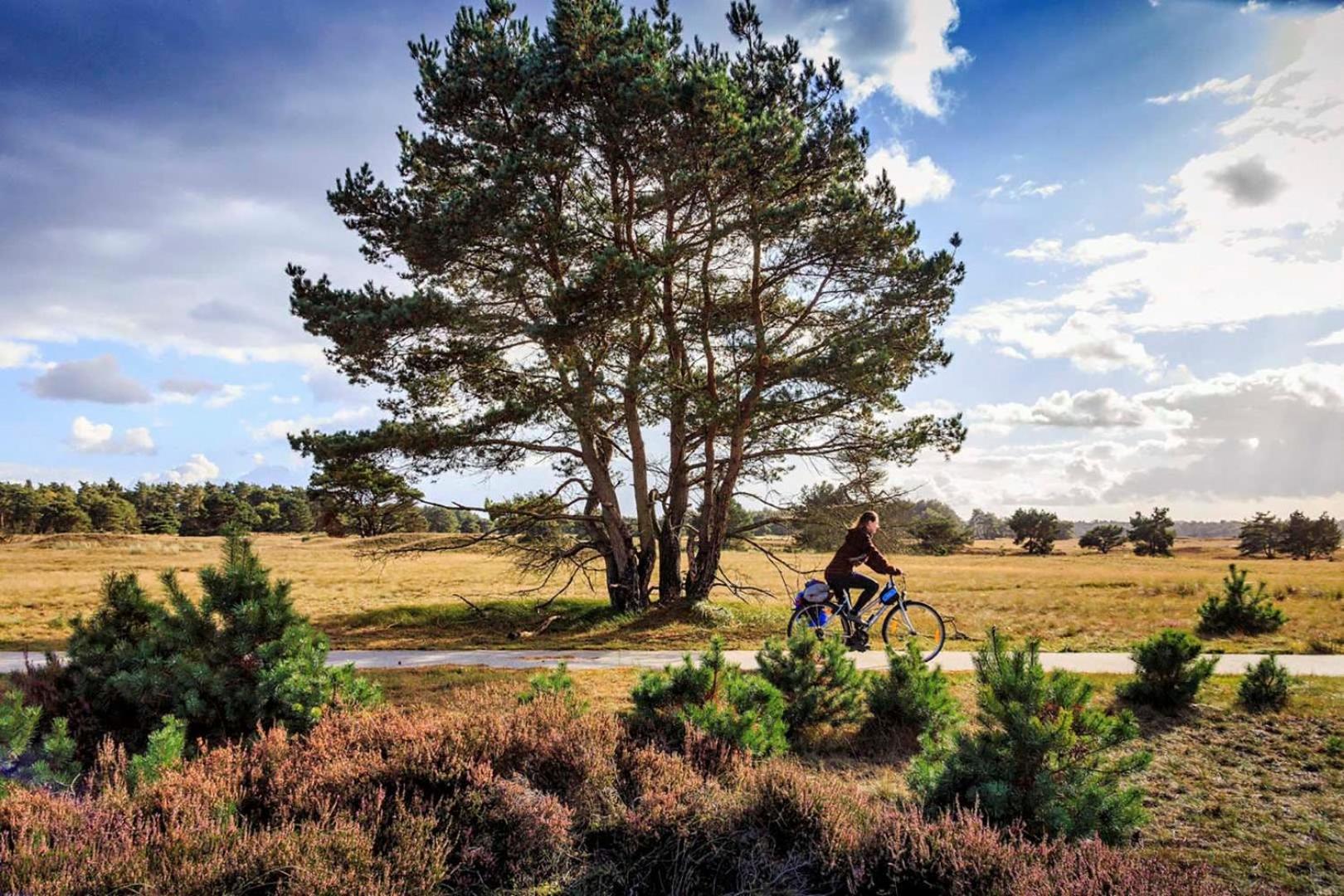Vakantiehuis Op Rustig Bospark Veluwe Voorthuizen Extérieur photo