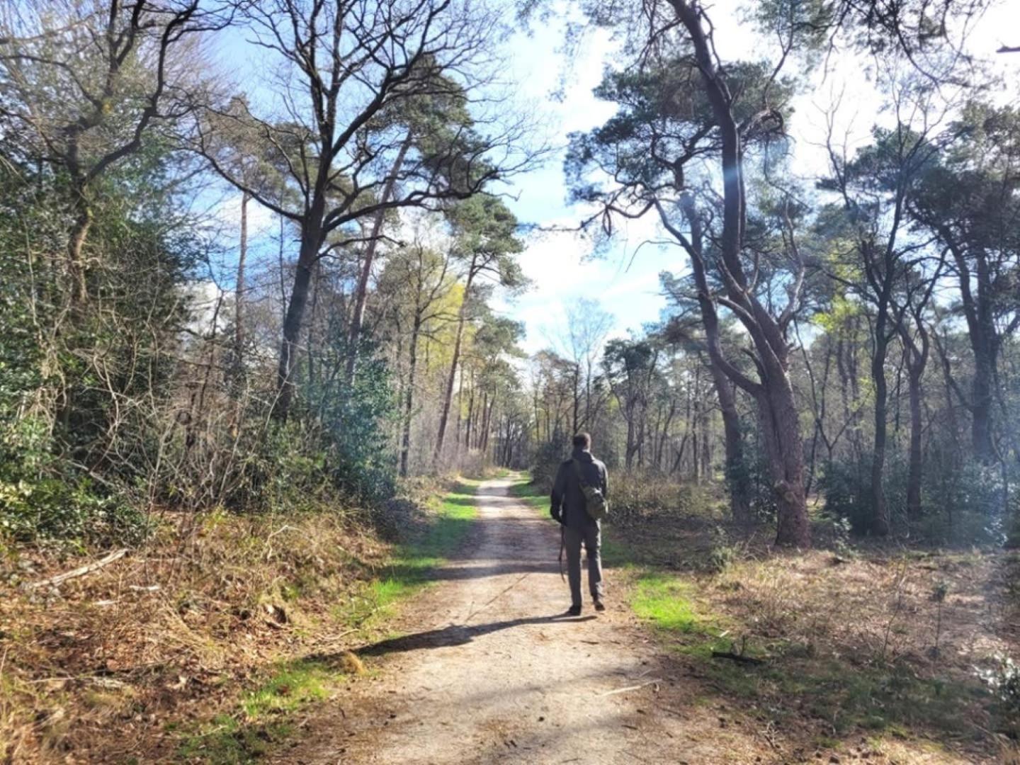 Vakantiehuis Op Rustig Bospark Veluwe Voorthuizen Extérieur photo